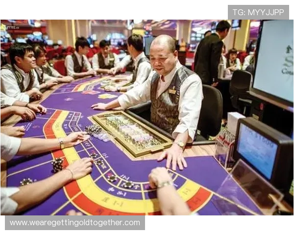 专业百家乐记路软件有哪些可以在不同赌场环境中灵活使用的分析工具介绍